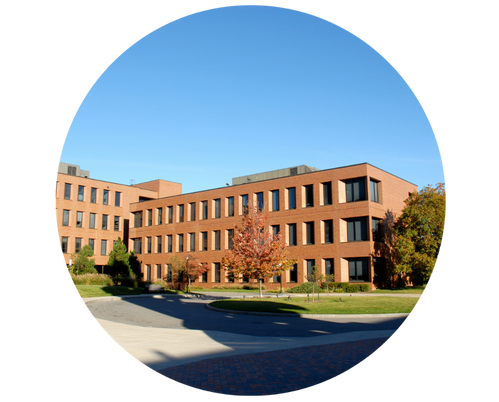 Community Colleges